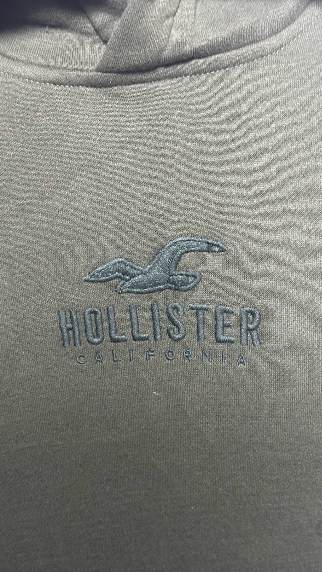 HOLLISTER MENS HOODIE