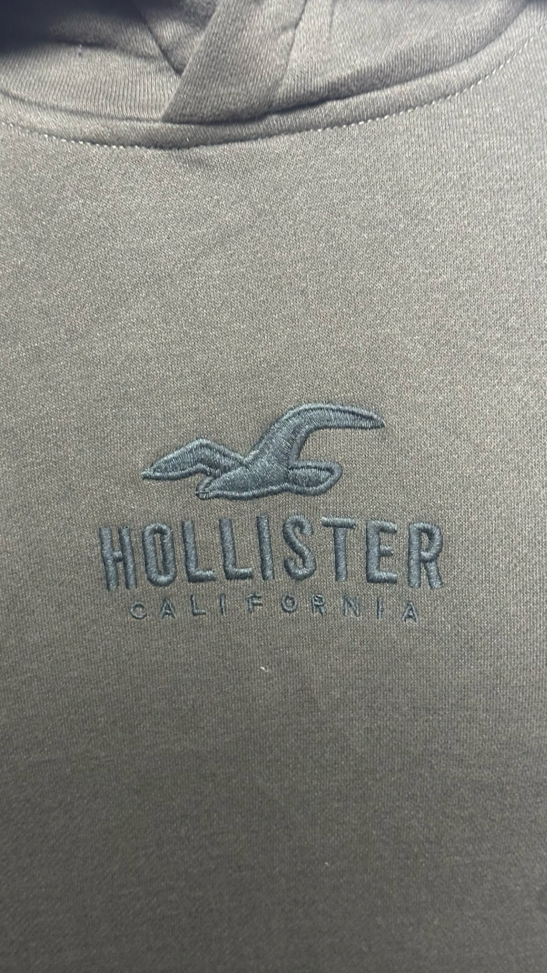 HOLLISTER MENS HOODIE