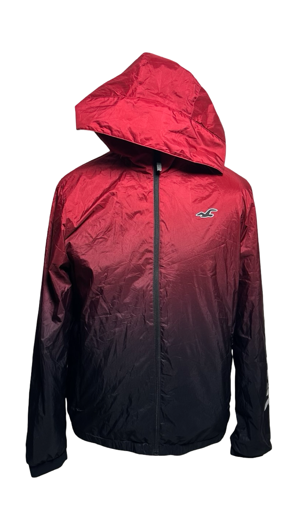 Men's Red Fleece-lined Logo Sport Hoodie