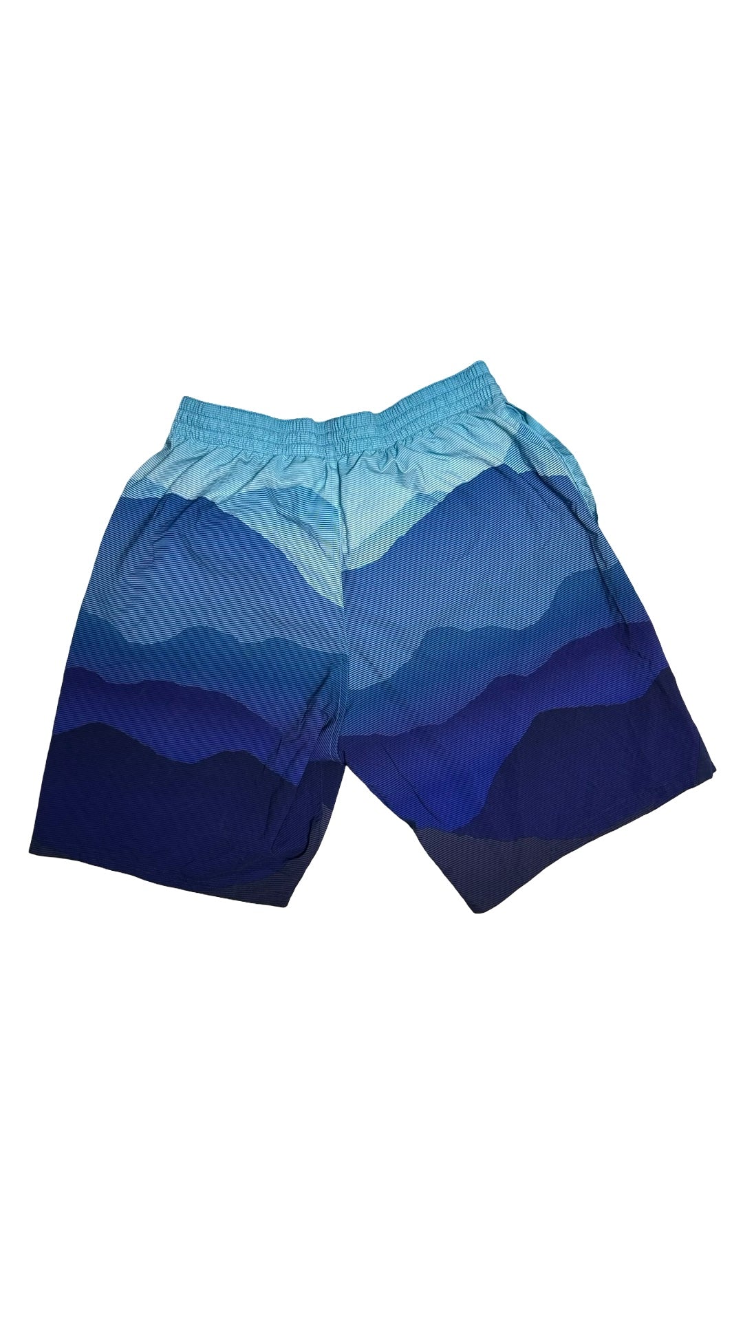 Nike Landscape Vital Volley Swim Beach Short