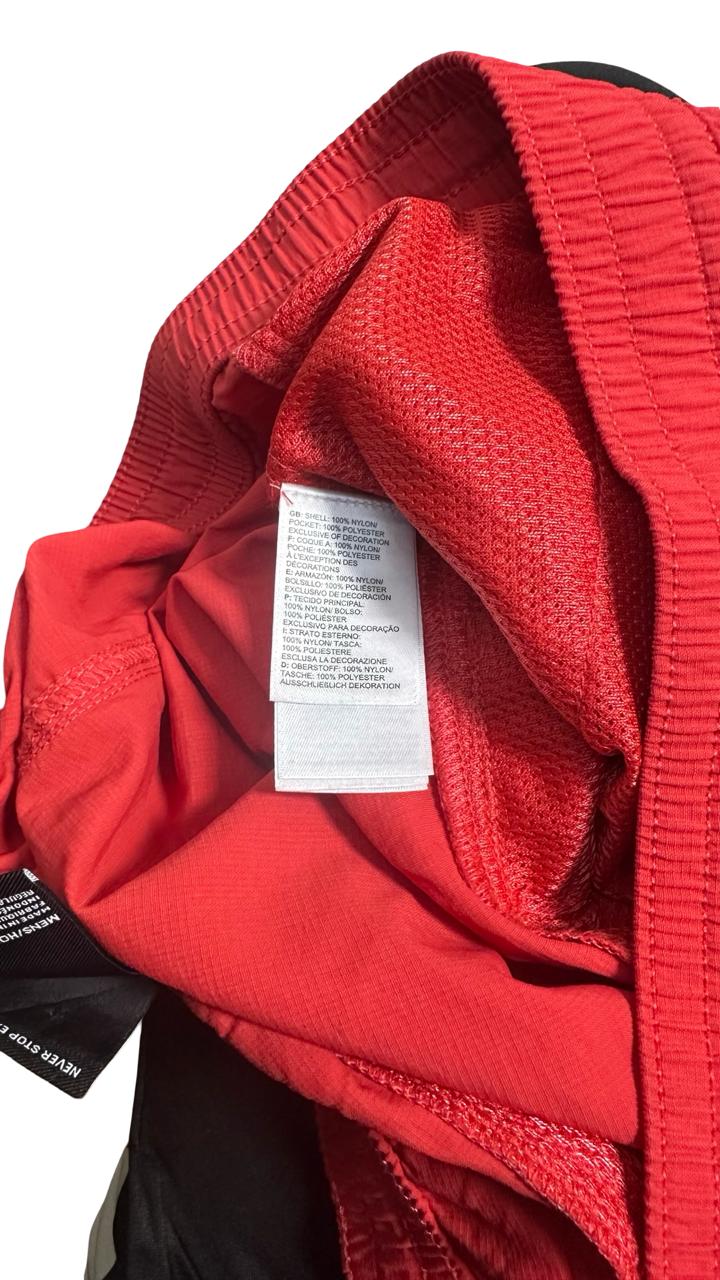 The north face men's running shorts